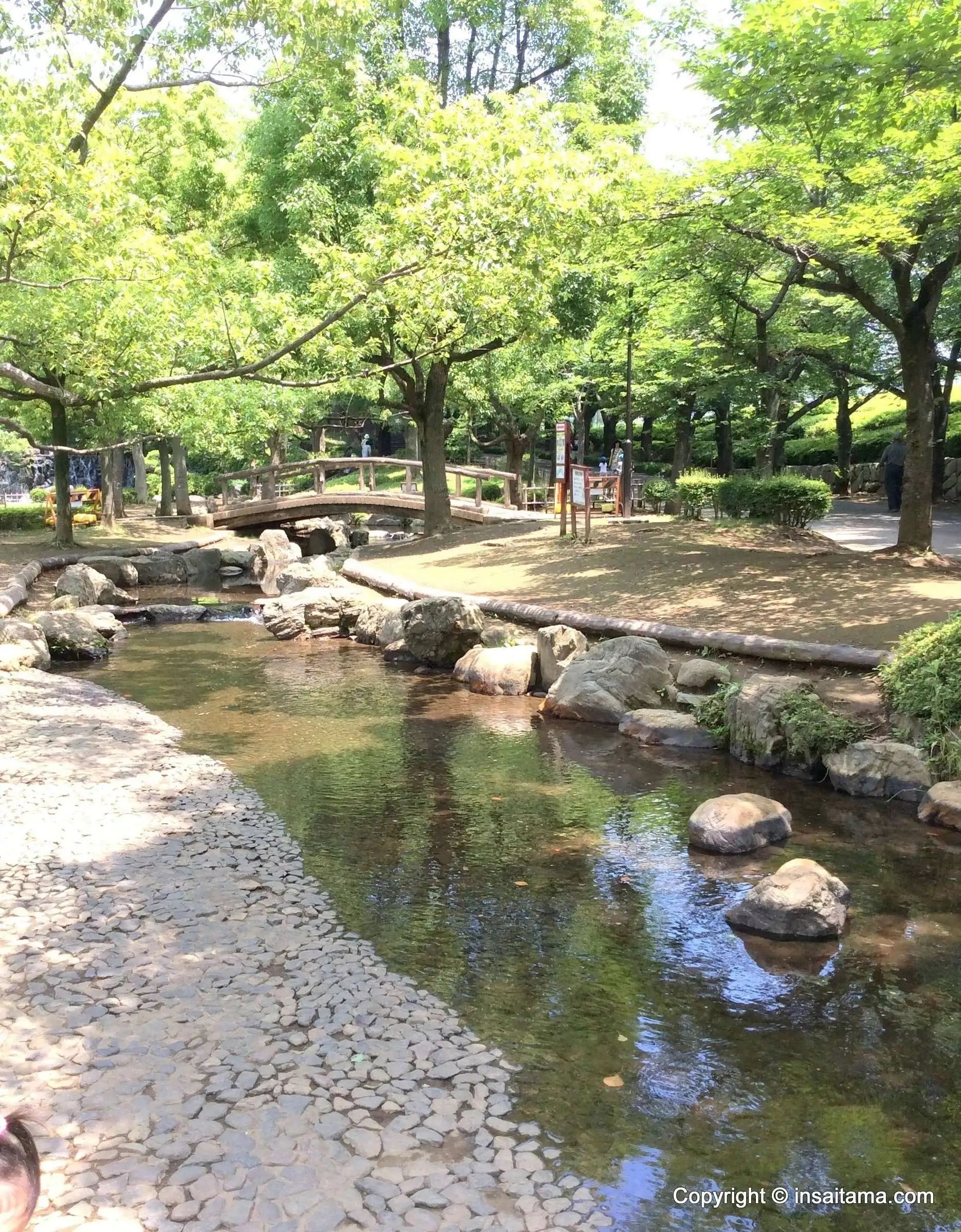 🌳 와라비 시민 공원 (蕨市民公園) 이미지 10
